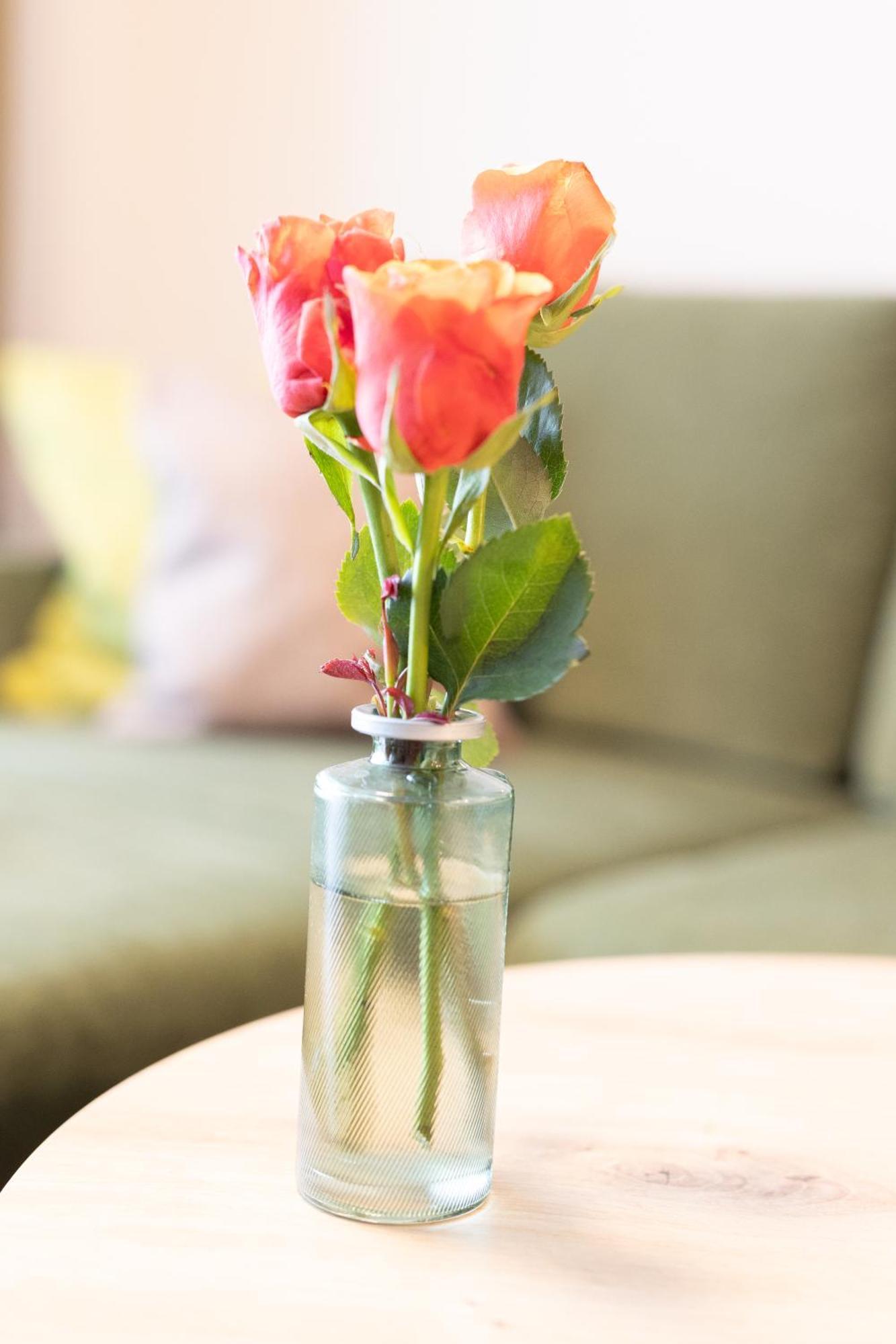 Appartementdeluxe Steiert - Near Europa Park - Rulantica - Spacious - Fully Equipped Kitchen - Private Garden - Free Parking - Pet Friendly Schwanau Bagian luar foto